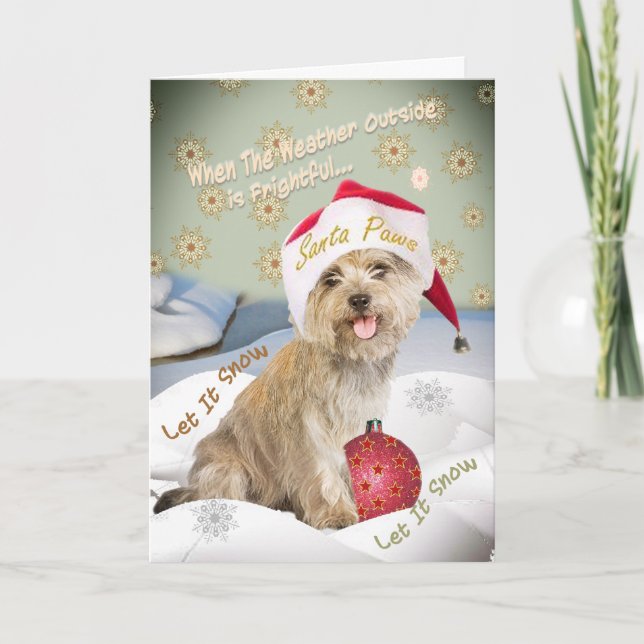 Tarjeta Festiva Cairn Terrier Deja Que Las Cartas De La Nieve (Anverso)