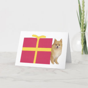 Tarjeta Festiva Caja de regalo de Pomerania