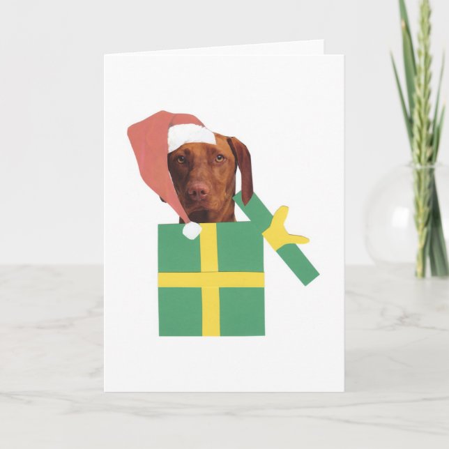 Tarjeta Festiva Caja de regalo verde de Vizsla (Anverso)