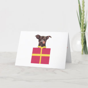 Tarjeta Festiva Caja del Pinscher miniatura