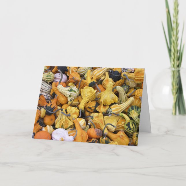 Tarjeta Festiva Calabazas de la acción de gracias (Anverso)