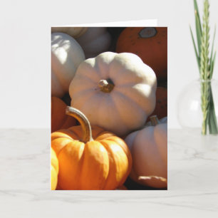 Tarjeta Festiva Calabazas, Feliz Día de Gracias