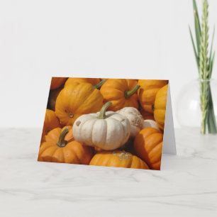 Tarjeta Festiva Calabazas Miniatura, Día de Acción de Gracias