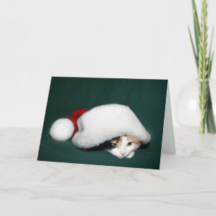 Tarjeta Festiva Calicó Santa