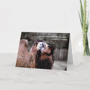 Tarjeta Festiva Camel Kiss poster