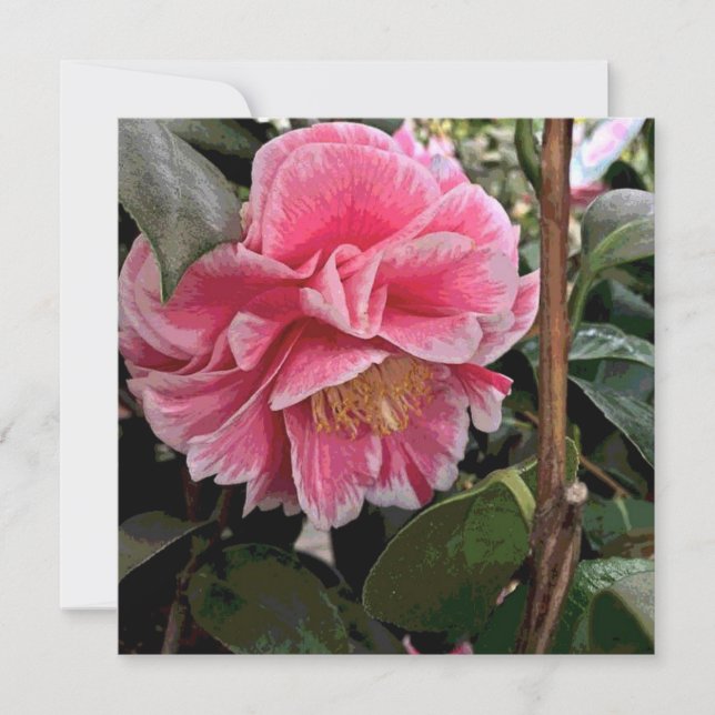 Tarjeta Festiva Camellia (Anverso)