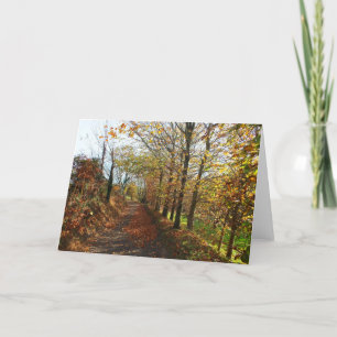 Tarjeta Festiva Camino de Jersey en otoño