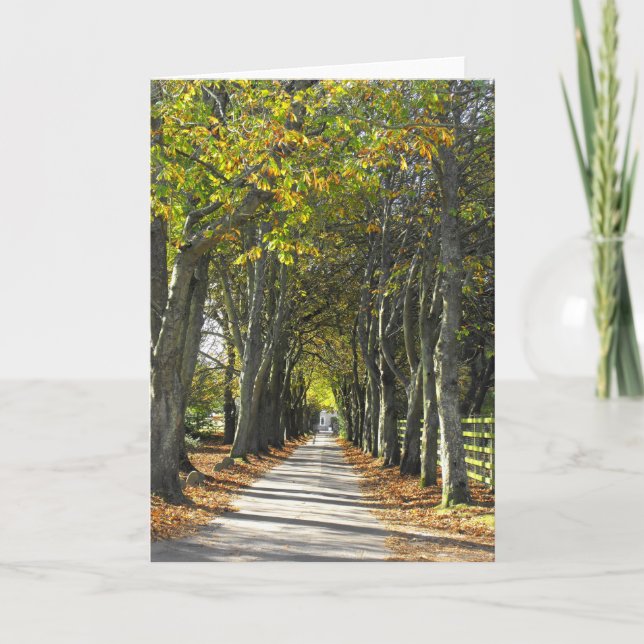 Tarjeta Festiva Camino rural en Jersey (Anverso)