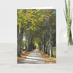 Tarjeta Festiva Camino rural en Jersey
