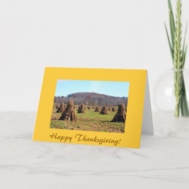 Tarjeta Festiva ¡Campos de Amish, acción de gracias feliz! (Anverso)