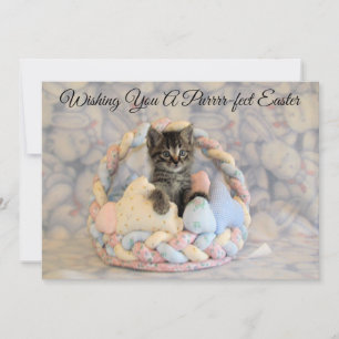 Tarjeta Festiva Canasta de Pascua de Patton - Gato/Gatito - Tarjet