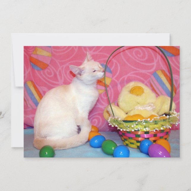 Tarjeta Festiva Canasta de Pascua de Tiffanys - Gato/ Gatito - Tar (Anverso)