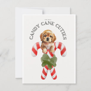 Tarjeta Festiva Candy Cane Cuties Dog