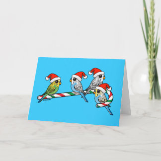Tarjeta Festiva Candy Cane Santa Budgies