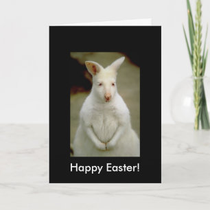 Tarjeta Festiva Canguro blanco lindo adorable del albino