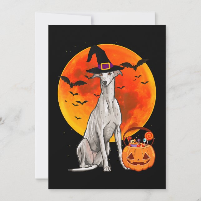 Tarjeta Festiva Canino Halloween Greyhound Jack O Lantern Pumpkin (Anverso)