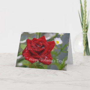 Tarjeta Festiva Capullo de Rosa Roja