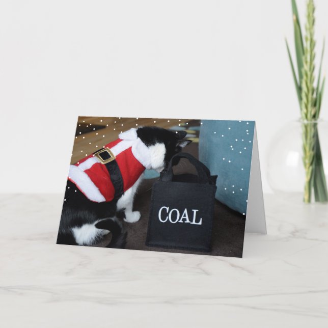 Tarjeta Festiva Carbón de gato para navidades (Anverso)