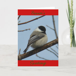 Tarjeta Festiva Carbonero Cabecinegro B21