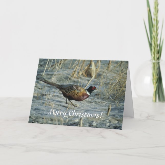 Tarjeta Festiva Card / Ring-necked Pheasant / Merry Christmas! (Anverso)