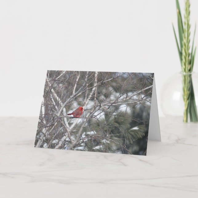Tarjeta Festiva Cardenal del invierno (Anverso)