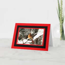 Tarjeta Festiva Cardenal Del Norte Sentada En Árbol De Nieve