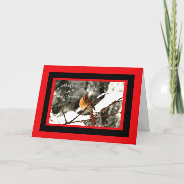 Tarjeta Festiva Cardenal Del Norte Sentada En Árbol De Nieve (Anverso)