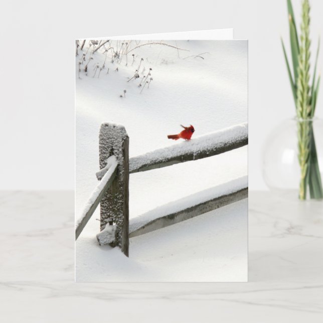 Tarjeta Festiva Cardenal en la cerca Nevado (Anverso)