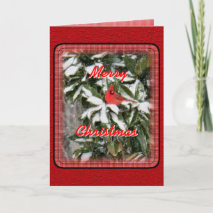 Tarjeta Festiva Cardenal en personalizar de la Magnolia Nevado
