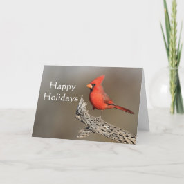 Tarjeta Festiva Cardenal en una costilla de cholla, Felices Fiesta