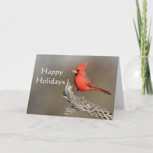 Tarjeta Festiva Cardenal en una costilla de cholla, Felices Fiesta