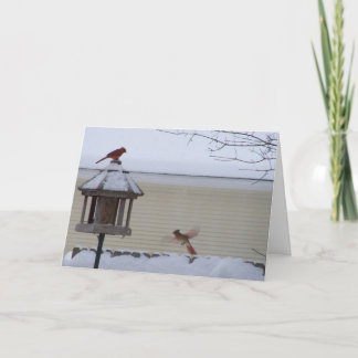 Tarjeta Festiva Cardenal en vuelo