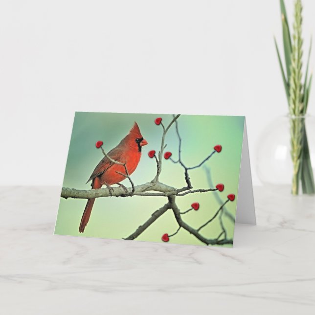 Tarjeta Festiva Cardenal feliz del día de San Valentín (Anverso)