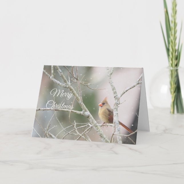 Tarjeta Festiva Cardenal hembra en ramas de invierno personalizabl (Anverso)