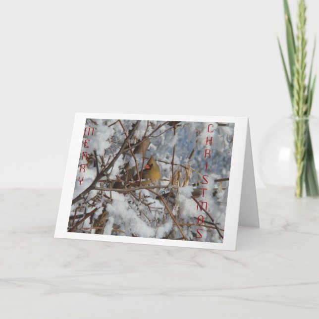 Tarjeta Festiva Cardenal norte y árbol de nieve femenino (Anverso)