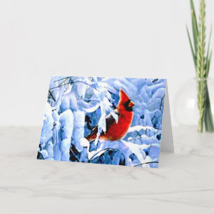 Tarjeta Festiva Cardenal Rojo en la Nieve Invernal