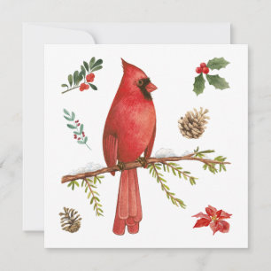 Tarjeta Festiva Cardenal rojo Navidades Ilustracion de la Naturale