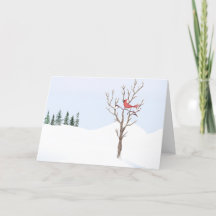 Cardenal Rojo Paz de Aves en la Tierra Feliz Navid