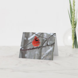 Tarjeta Festiva Cardenal rojo Perch (vista frontal)