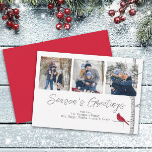 Tarjeta Festiva Cardenal rojo Woodland WinTree Multi 3 Photo