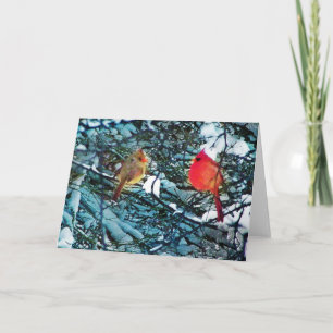 Tarjeta Festiva Cardenales amor de invierno, cartas