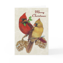 Cardenales de invierno