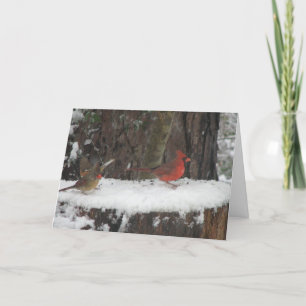 Tarjeta Festiva Cardenales de nieve y todoterreno