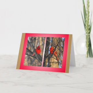 Tarjeta Festiva Cardenales por una mañana "quebradiza" del