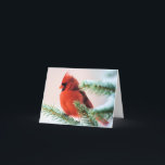Tarjeta Festiva Cardinal in Snow Dusted Fir<br><div class="desc">A vibrantly red male cardinal sits fluffed against the cold on a fir branch delightfully dusted by snow. Ideal for any bird or nature lover for the winter holiday season!</div>