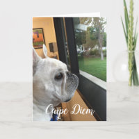 ¡Carpe Diem-Tu mundo espera!