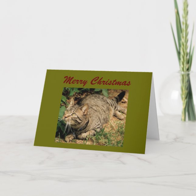 Tarjeta Festiva Cartas de felicitación de Navidades de gato de Tab (Anverso)
