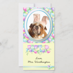 Tarjeta Festiva ¡Cartas de fotos de Pascua para tus mascotas!