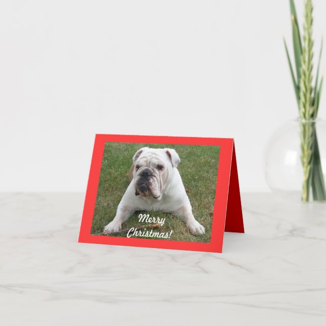Tarjeta Festiva Cartas de Navidades de Bulldog en inglés (Anverso)