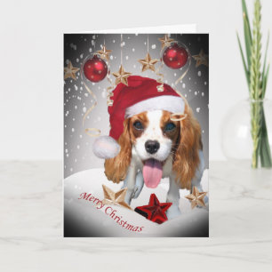 Tarjeta Festiva Cartas de Navidades de invierno de Cavalier King C